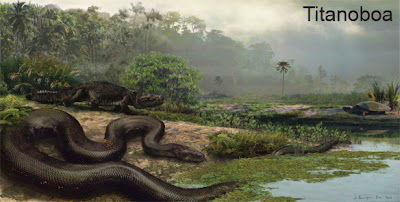 Titanoboa