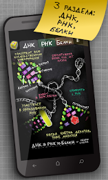 ayMolekula: Biology DNA free poster 11