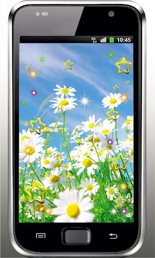 Camomile Flower live wallpaper