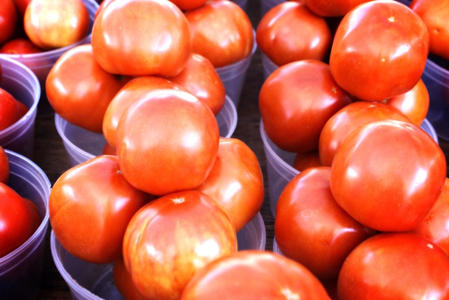 [MaggieLamarre-tomatoes[2].jpg]