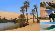 Oasis-oasis di Gurun Pasir
