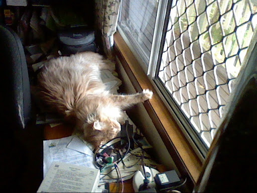 http://lh6.ggpht.com/_iXb0DHXT6Tg/TJgFyF6BviI/AAAAAAAAAeM/Nj-1lMczfz0/Picture%2027.jpg