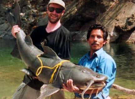 [Goonch Catfish in Nepal[4].jpg]