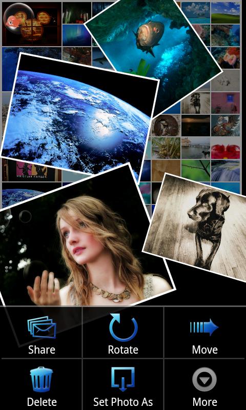 Fish Bowl Photo Gallery Android