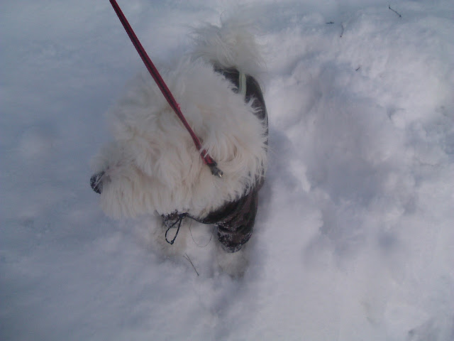 DSCF7270.JPG