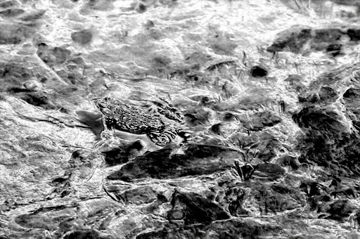 _DSC0351b.jpg