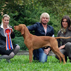CELJE EUROPEAN DOG SHOW-SLOVENIA-2010-10-01b.jpg