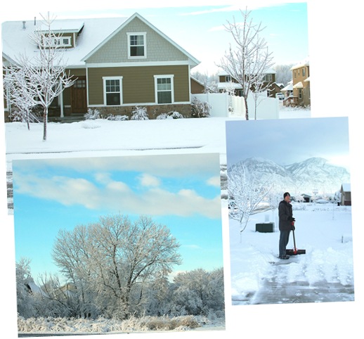 snowy day collage