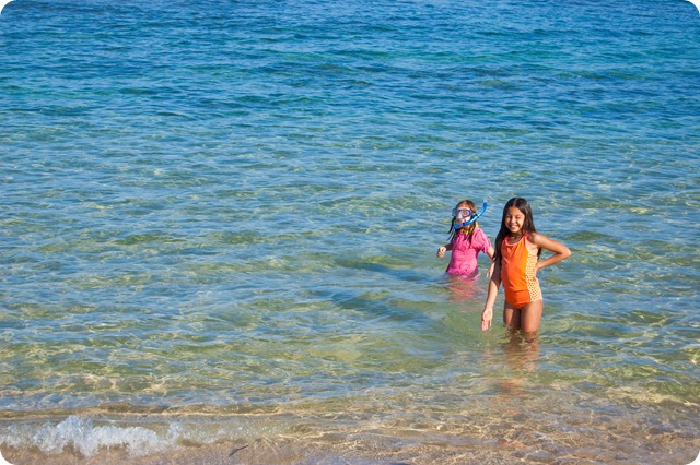 morning swim at ali'i beach at condo (2)