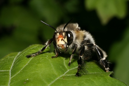 [shutterstock_244376262.jpg]