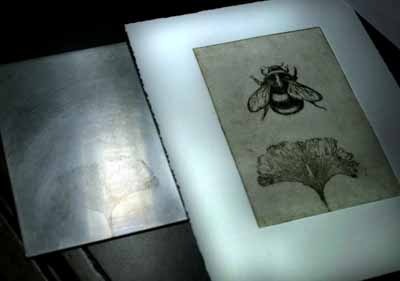 [bee and ginkgoplate2[3].jpg]