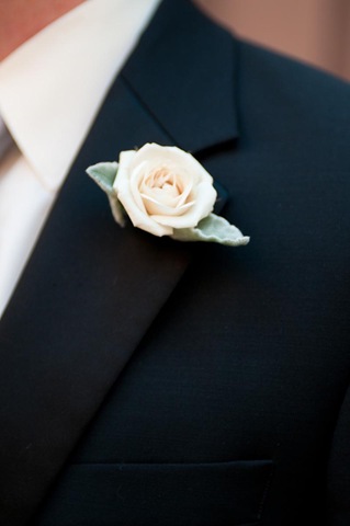 [boutlittlepheasant5.jpg]