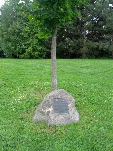 Wiktor Podoski Commemorative Tree
