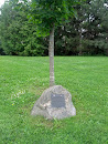 Wiktor Podoski Commemorative Tree