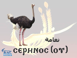 الطيور باللغــــــة القبطيــــ†ــــة بالصور