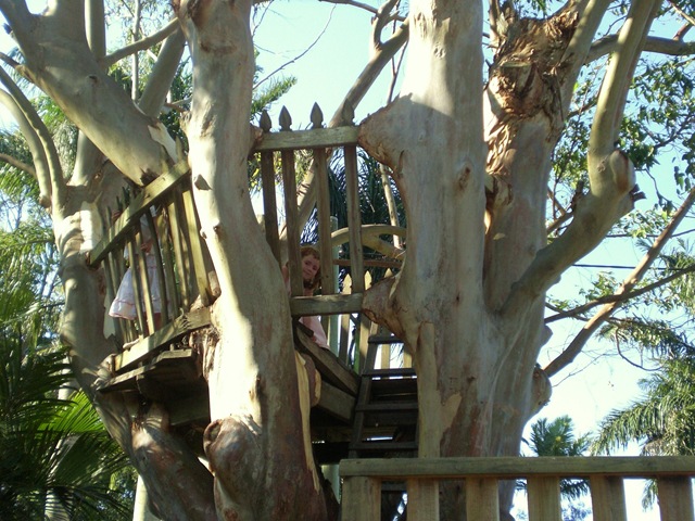 [22 maca treehouse[3].jpg]