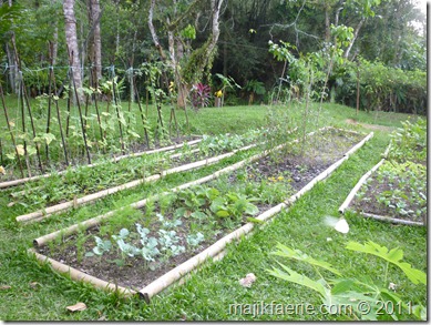 16 veg garden