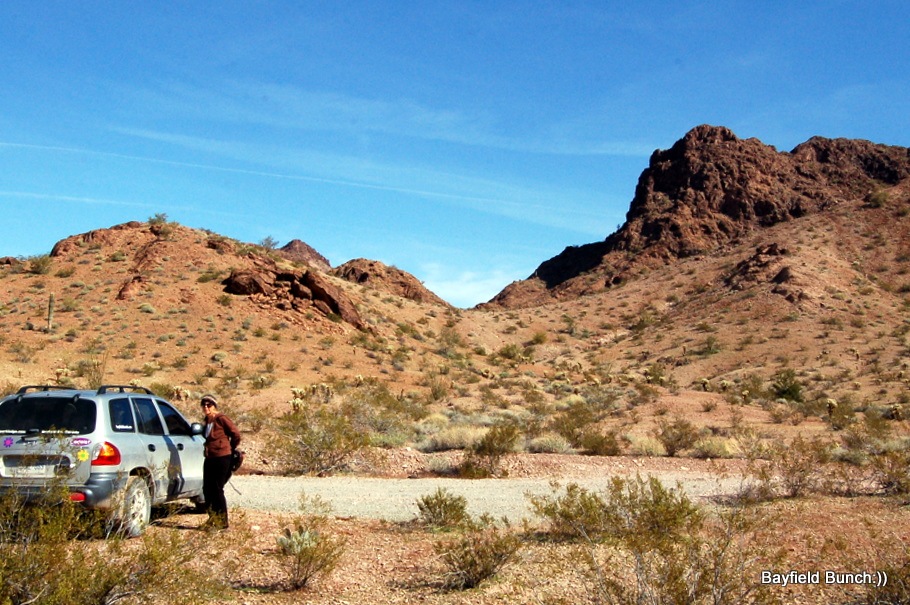 [DSC_0010[2].jpg]