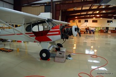 PIPER SUPER CUB UNDERGOING RE-FIT....WAS USED TO TRACK PARROTS