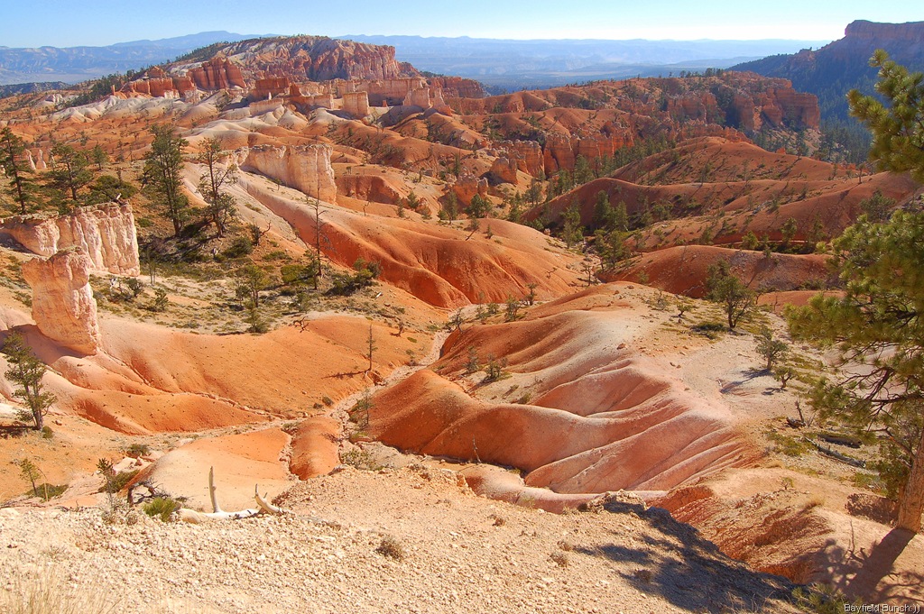 [DSC_0027[3].jpg]