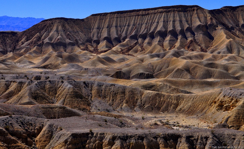 [DSC_0166[8].jpg]