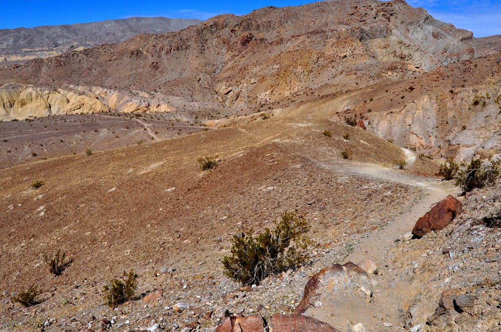 [DSC_01683.jpg]