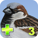 iBird Yard Plus logo
