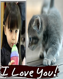 ảnh khung mèo pic khung poster 4