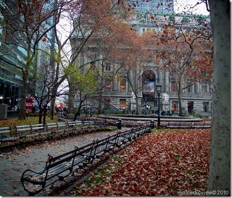 New York Autumn Photography          