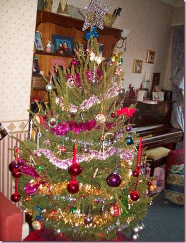 tree 2008