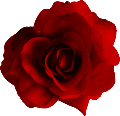 red-rose-1.png