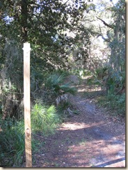 Magnolia Forest Trailhead
