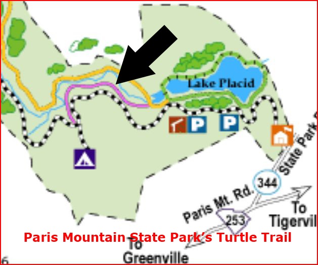 [Turtle Trail Map[5].jpg]