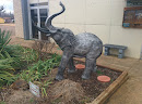 Elephant Statue #1
