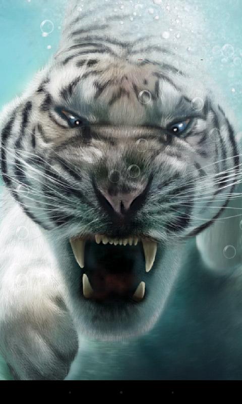 Android application Tiger Live Wallpaper screenshort