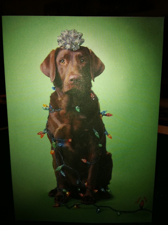 Charlie's Christmas card