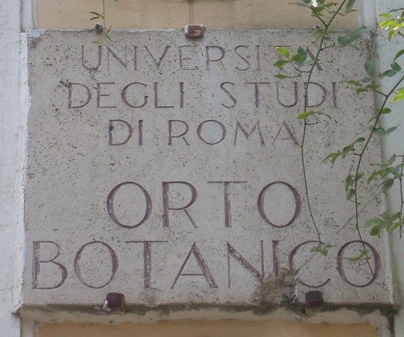 [foto orto botanico 1[15].jpg]