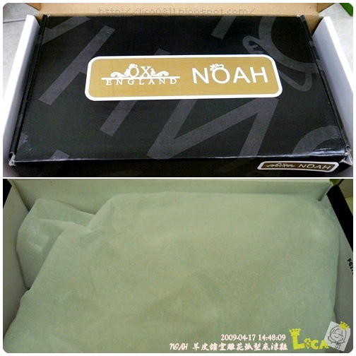 NOAH-01A
