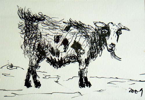 Goat Nr14
