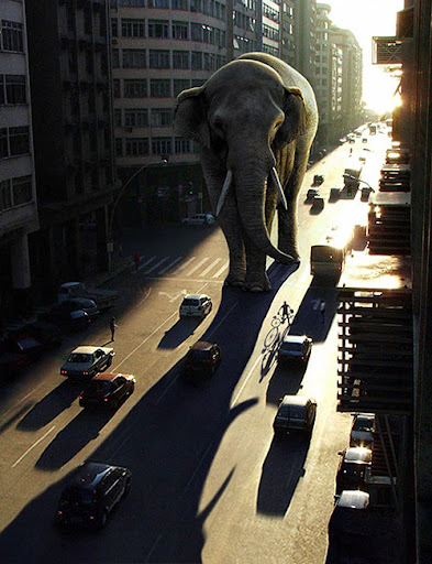 Lighting a Giant Elephant