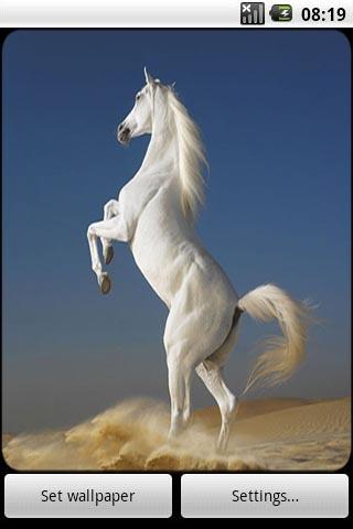 Horses Live Wallpaper