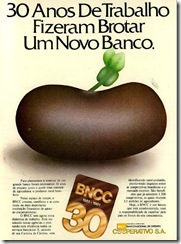 BNCC