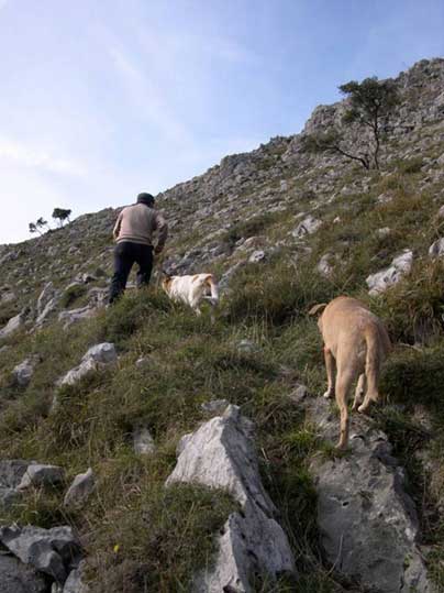 Álvaro Fernández con sus perros Álvaro Fernández con sus perros