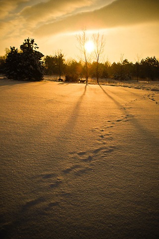 [Sunrise-Winter-2009-Morning[2].jpg]
