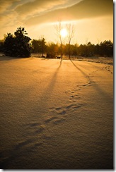 Sunrise-Winter-2009-Morning