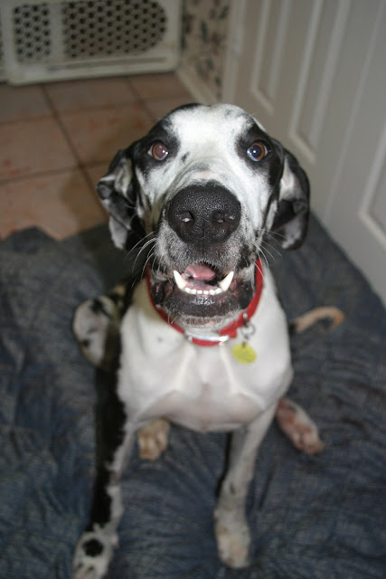 Happy Face