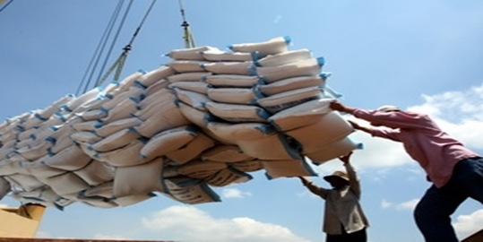 Giá hóa chất, phân bón tại thị trường Trung Quốc ngày 31/3/2011 ad5gao thumb%5B9%5D - Giá hóa chất, phân bón tại thị trường Trung Quốc ngày 31/3/2011