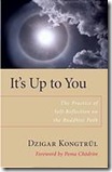 It's Ups to You: The Practice of Self-Reflection on the Buddhist Path