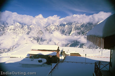 Auli