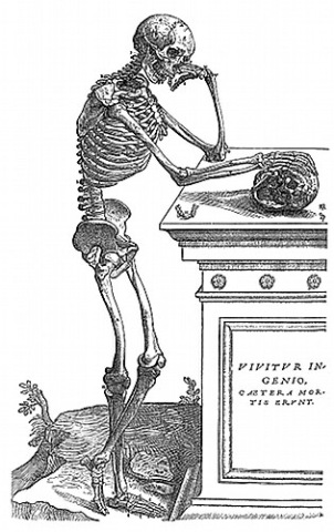 [164-skeleton-with-skull-q90-315x500[5].jpg]
